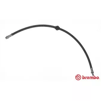 BREMBO T 61 074 - Flexible de frein