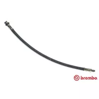 BREMBO T 61 082 - Flexible de frein