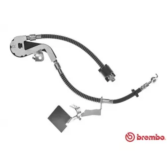 BREMBO T 61 115 - Flexible de frein