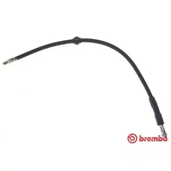 Flexible de frein BREMBO OEM 480695