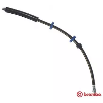 Flexible de frein BREMBO T 61 123 pour CITROEN C3 BlueHDi 100 - 102cv
