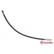 BREMBO T 68 004 - Flexible de frein