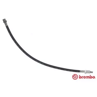 BREMBO T 68 004 - Flexible de frein