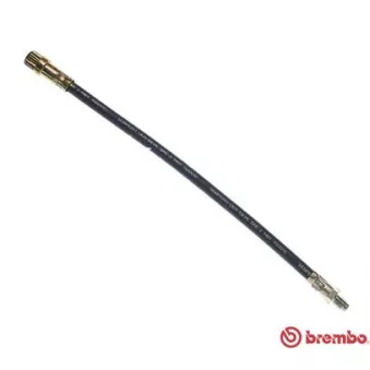 Flexible de frein BREMBO OEM 7704002450
