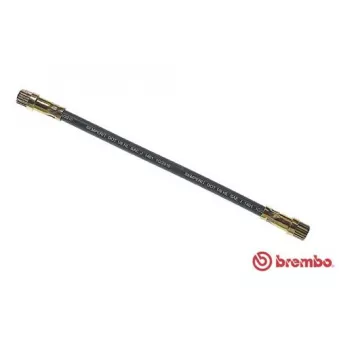 Flexible de frein BREMBO T 68 019 pour RENAULT SCENIC 2.0 16V - 139cv