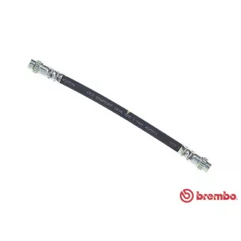 Flexible de frein BREMBO T 68 031 pour RENAULT CLIO 1.5 dCi 90 - 90cv