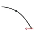BREMBO T 68 034 - Flexible de frein