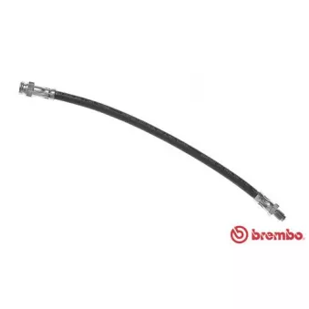 BREMBO T 68 041 - Flexible de frein