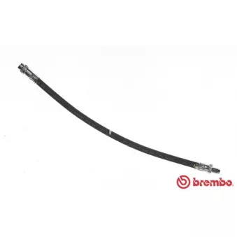 BREMBO T 68 045 - Flexible de frein