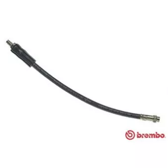 Flexible de frein BREMBO OEM 9120710