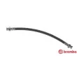 BREMBO T 68 065 - Flexible de frein