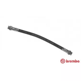 Flexible de frein BREMBO OEM 7700834990