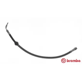 BREMBO T 68 074 - Flexible de frein