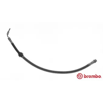 Flexible de frein BREMBO OEM 9111645