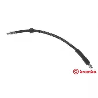 BREMBO T 68 077 - Flexible de frein