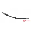 Flexible de frein BREMBO [T 71 006]