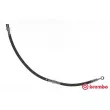 BREMBO T 78 004 - Flexible de frein