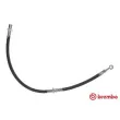 BREMBO T 78 005 - Flexible de frein