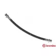 BREMBO T 78 011 - Flexible de frein