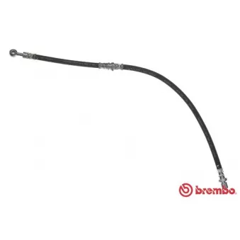 BREMBO T 78 025 - Flexible de frein