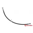BREMBO T 78 029 - Flexible de frein
