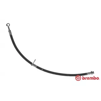 BREMBO T 78 029 - Flexible de frein
