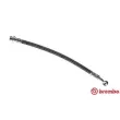 BREMBO T 79 005 - Flexible de frein
