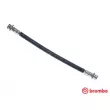 BREMBO T 79 011 - Flexible de frein