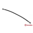 BREMBO T 79 015 - Flexible de frein