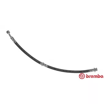 BREMBO T 79 016 - Flexible de frein