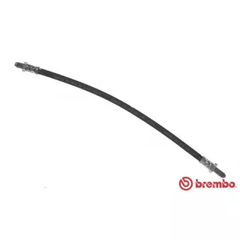 BREMBO T 79 021 - Flexible de frein