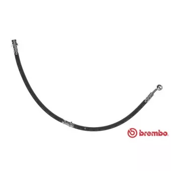BREMBO T 79 023 - Flexible de frein