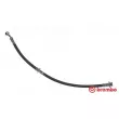 BREMBO T 79 025 - Flexible de frein