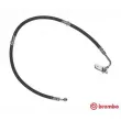 BREMBO T 79 032 - Flexible de frein