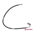 BREMBO T 79 033 - Flexible de frein