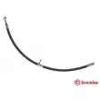 BREMBO T 79 043 - Flexible de frein