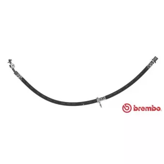 BREMBO T 83 031 - Flexible de frein
