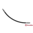 BREMBO T 83 058 - Flexible de frein