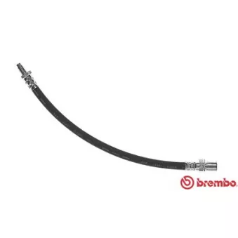 BREMBO T 83 058 - Flexible de frein