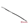 BREMBO T 83 069 - Flexible de frein