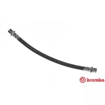 BREMBO T 83 073 - Flexible de frein