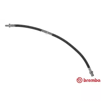 BREMBO T 83 076 - Flexible de frein