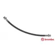 BREMBO T 83 090 - Flexible de frein