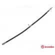 BREMBO T 83 092 - Flexible de frein