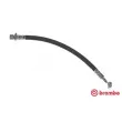 BREMBO T 83 094 - Flexible de frein