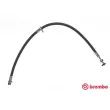 BREMBO T 83 099 - Flexible de frein