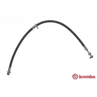 Flexible de frein BREMBO OEM 9008094132