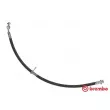 BREMBO T 83 108 - Flexible de frein