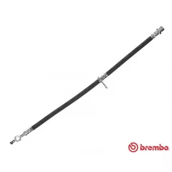 BREMBO T 83 111 - Flexible de frein