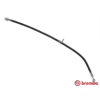 BREMBO T 83 119 - Flexible de frein